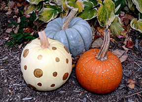 2016 published photo by Debbie Meole