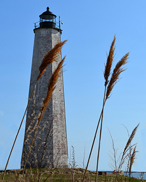 2015 Award Winning photo by Debbie Meole.