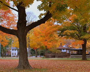 Published photo taken by Shutterart by Debi