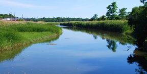 Published photo taken by Shutterart by Debi