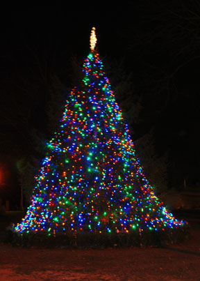 Published photo taken by Shutterart by Debi