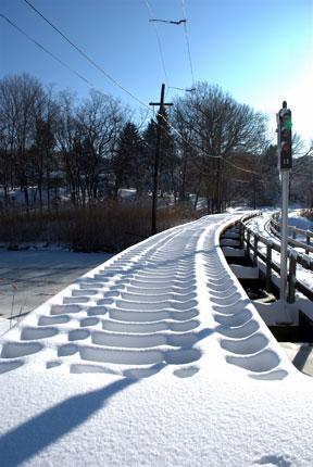 Published photo taken by Shutterart by Debi.