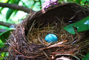 Published photo taken by Shutterart by Debi.