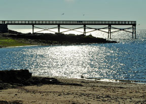 2012 Published photo taken by Debbie Meole.