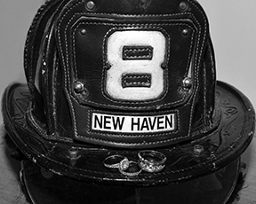 2014 Award Winning photo taken by Debbie Meole.